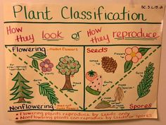 a poster on the wall that says plant classfication how they look or how produce