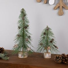 three small pine trees sitting on top of a wooden table next to spoons and utensils