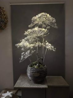 a potted plant sitting on top of a table in front of a gray wall