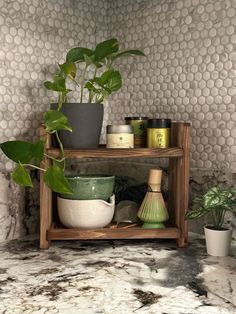 a potted plant sitting on top of a wooden shelf next to other pots and containers