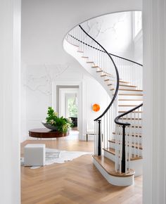 a spiral staircase in a home with white walls and wood floors, along with a potted plant on the far end