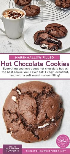 chocolate cookies with marshmallow filled hot chocolate