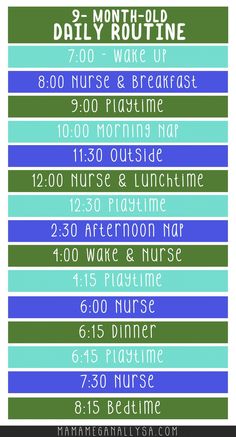 the 9 - month old daily routine is shown in blue, green and purple stripes