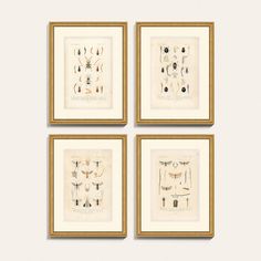 four framed art pieces with different shapes and sizes in gold frames on a white wall