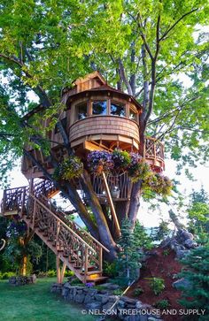 a tree house built into the side of a large tree