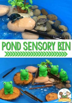 this is an easy and fun pond activity for kids