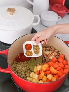 a person adding seasoning to vegetables in a pot