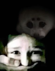 a blurry image of a person with a monkey on their head in the dark