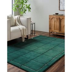 a living room with a green rug on the floor