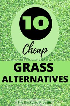 grass with the words 10 cheap grass alternatives on it and an image of green grass in