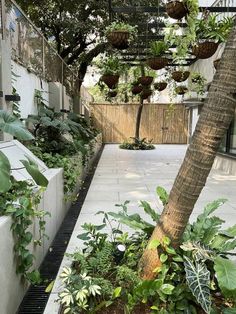 an outdoor area with trees and plants in it