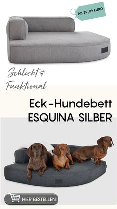 three dogs laying on top of a couch with the words eck - hundebett esquna siber