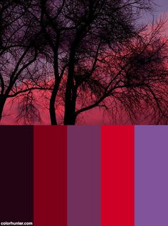 the sky is pink, purple and red with trees in silhouette at sunset or dawn