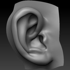 an ear is shown in this 3d image