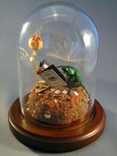 a glass dome with an insect inside on top of a wooden base and a clock in the middle