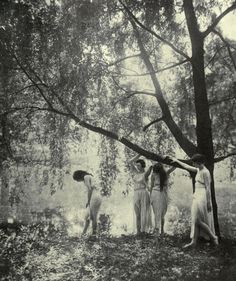 three women standing under a tree in the woods