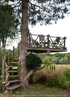 a tree house built into the side of a tree with stairs leading up to it