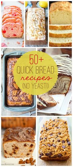 the top 50 quick bread recipes no yeast