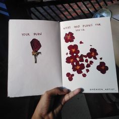 an open book with red flowers on it