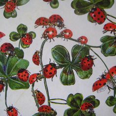 a bunch of ladybugs and clovers on a white background