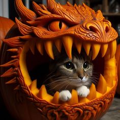 a cat sitting inside of a pumpkin carved to look like a dragon's mouth