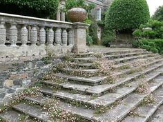 an old set of stone steps with flowers growing on them