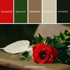 a red rose sitting on top of a wooden table next to a white leaf and color swatches