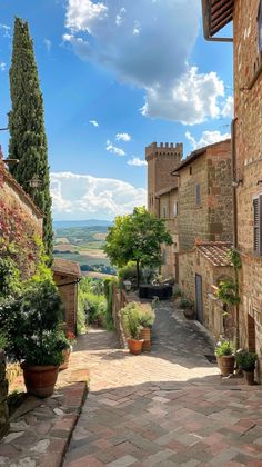 an alley way with potted plants on either side and stone buildings in the background