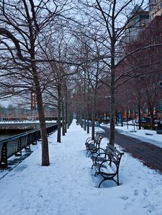 several park benches covered in snow next to trees