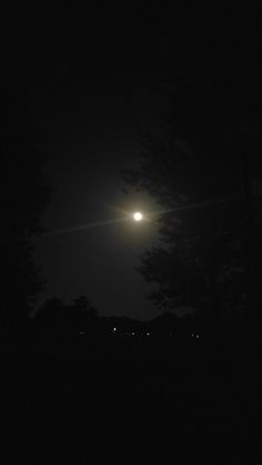 the full moon is shining brightly in the dark night sky over some trees and grass