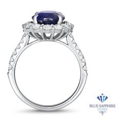 4.79ct. Oval Blue Sapphire Ring with Diamond Halo in 18K White Gold Kate Middleton Ring, Famous Engagement Rings, Sapphire Halo Ring, Engagement Ring Women, Blue Sapphire Ring, Diamond Halo Ring, Special Ring, Anniversary Present, Ring With Diamond