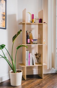 a potted plant sitting on top of a wooden shelf next to a bookshelf