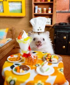 a hedgehog wearing a chef's hat sitting at a table with food on it