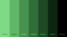 a green color scheme with different shades