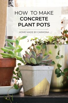 three potted plants sitting on top of a table next to each other with the words how to make concrete plant pots