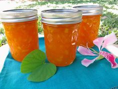 three jars filled with liquid sitting on top of a blue table cloth next to a pink flower