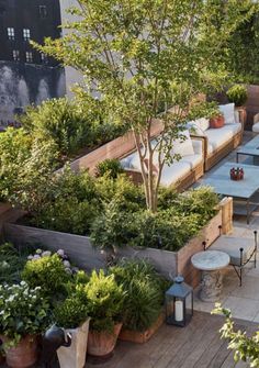 an outdoor seating area with potted plants and trees on the side of a building