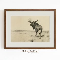 a framed photograph of a moose running through the grass