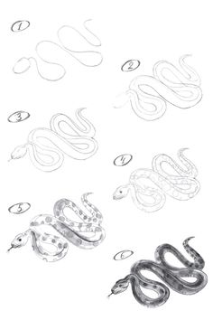 How to draw a python with a pencil step-by-step tutorial. Drawing Hatching, Animal Sketches Easy, Snake Painting, Animal Art Projects, Sketch Tattoo Design