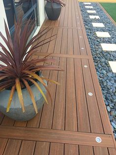 a potted plant sitting on top of a wooden deck