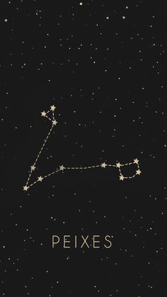 the zodiac sign for pexes on a starry night sky