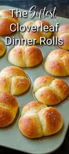 the softest cloverleaf dinner rolls are ready to be baked in the oven and eaten