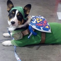 a dog dressed up in a costume laying on the ground