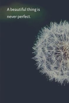 a dandelion with the words a beautiful thing is never perfect