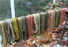 there are many different colors of yarn hanging on the clothes line outside in the fall