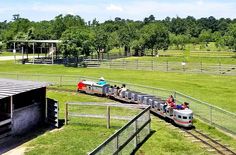 people are riding on the back of a train going through an open area with trees