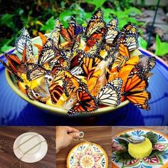 there are many different pictures of butterflies in the bowl and on the plate, with one being cut