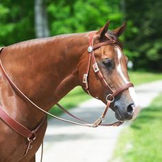 a brown horse standing on top of a lush green field next to a forest filled with trees