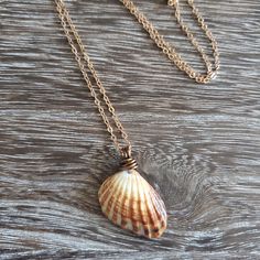 Broad-Ribbed Cardita Seashell Rose Gold Dainty Chain This beautiful natural seashell has chocolate and honey tones. I drilled a tiny hole and wire-wrapped it with antique bronze wire to enhance the gorgeous colors of the shell. It hangs on an 18 inch dainty rose gold chain. The shell is approximately 1 inch in height. The perfect little necklace to complete your look day or night. *Broad-Ribbed Cardita Seashell ethically sourced from Vanderbilt Beach, FL **Note: Seashells cleaned in a bleach/wat Seashell Jewelry Diy, Sea Accessories, North Miami Beach, Shell Crafts Diy, Seashell Jewelry, Seashell Necklace, Dainty Chain, Rose Gold Chain, Antique Necklace