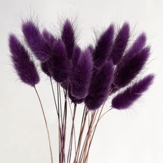 some purple flowers are in a vase on a white tablecloth and it looks like they're dying